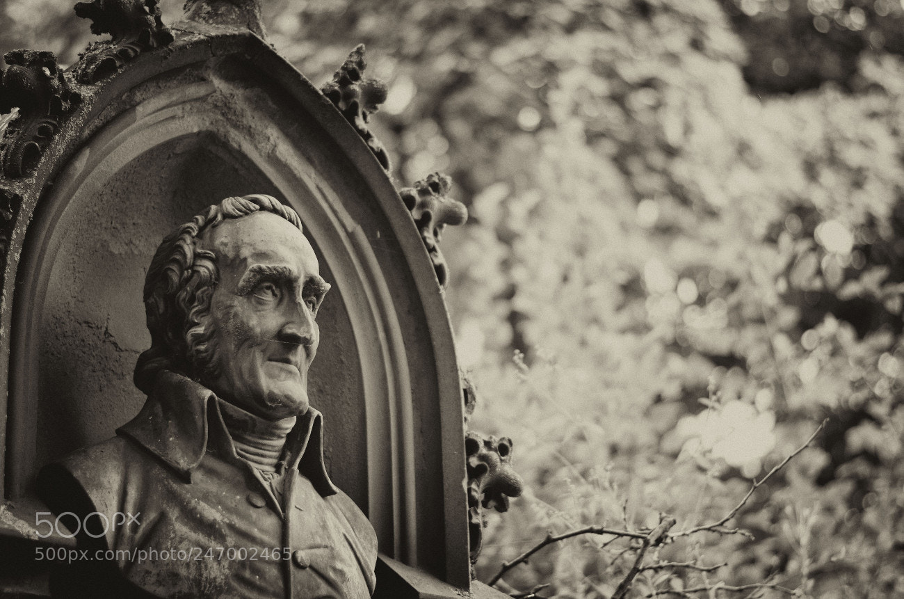 Nikon D5100 sample photo. Alterfriedhof i photography