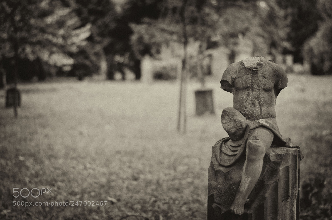 Nikon D5100 sample photo. Alterfriedhof ii photography