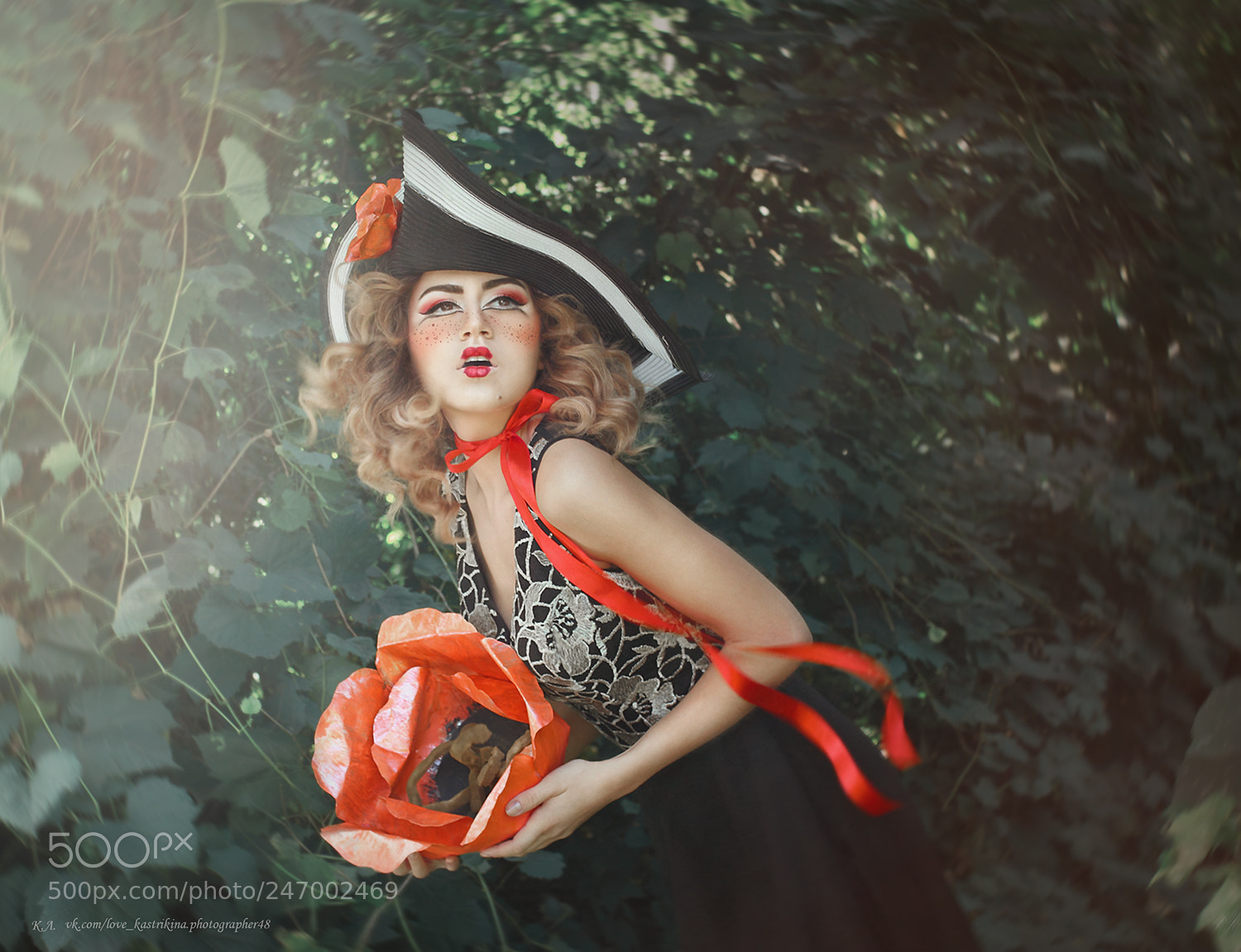 Canon EOS 550D (EOS Rebel T2i / EOS Kiss X4) sample photo. Queen of poppies photography