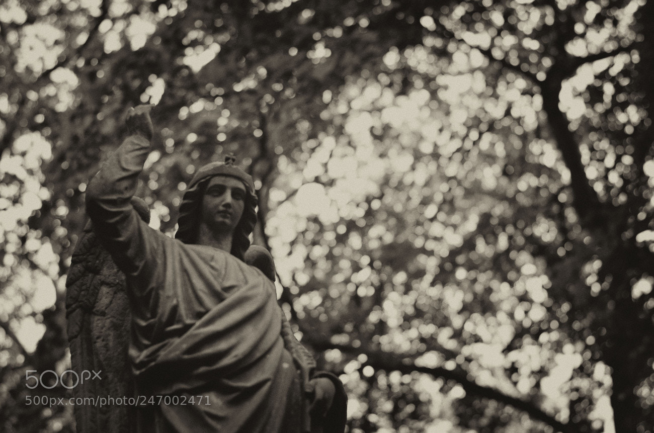 Nikon D5100 sample photo. Alterfriedhof iii photography