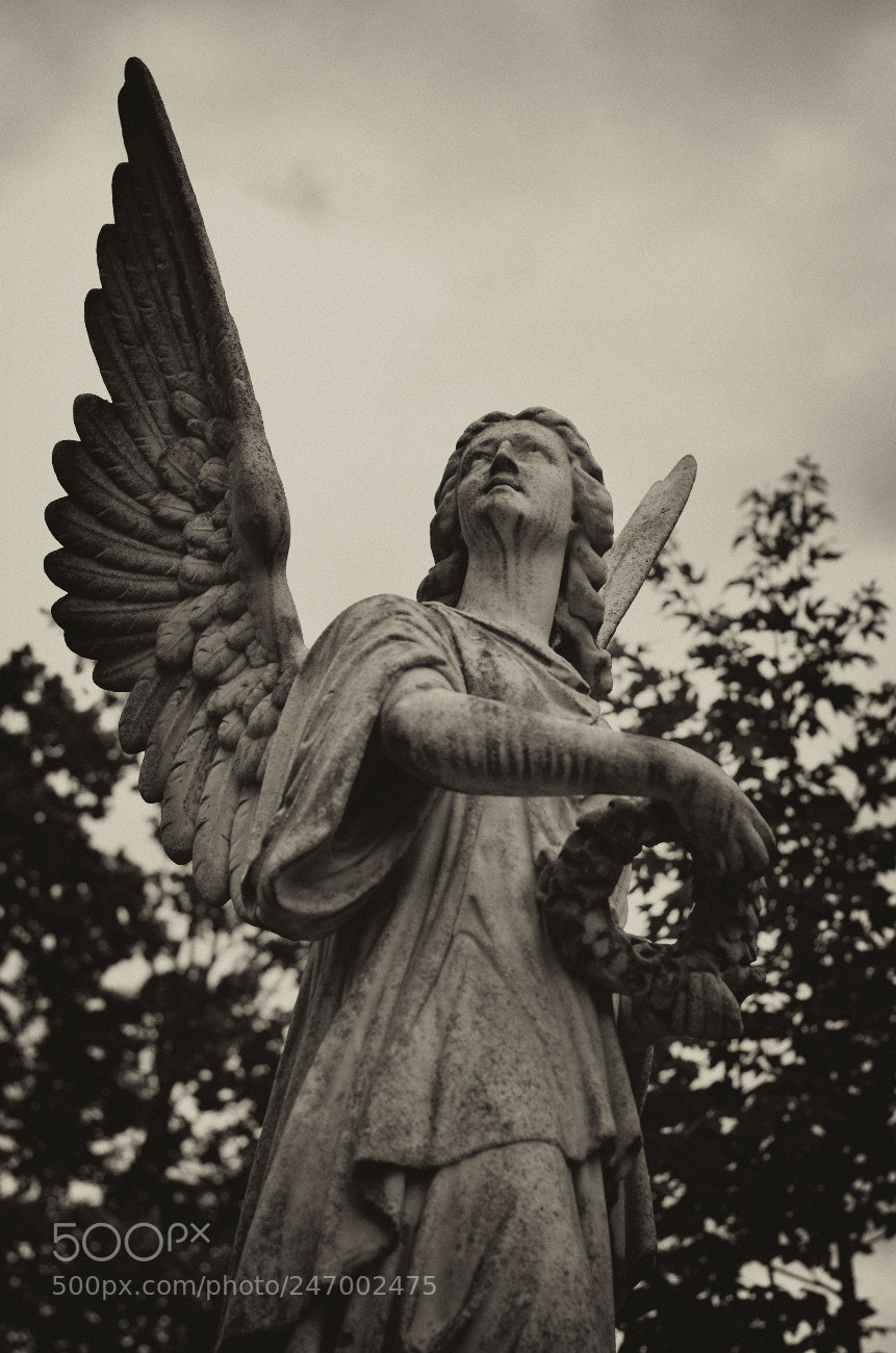 Nikon D5100 sample photo. Alterfriedhof ix photography