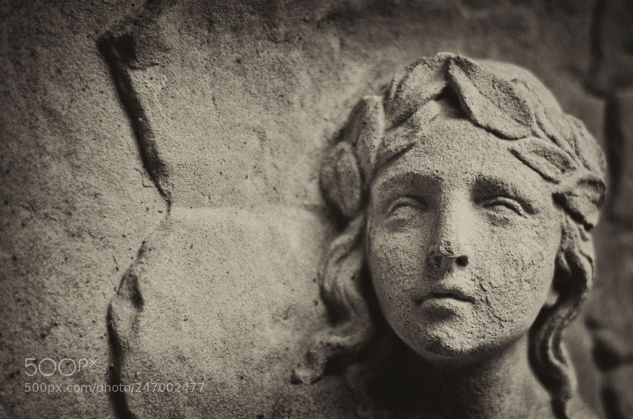Nikon D5100 sample photo. Alterfriedhof vi photography