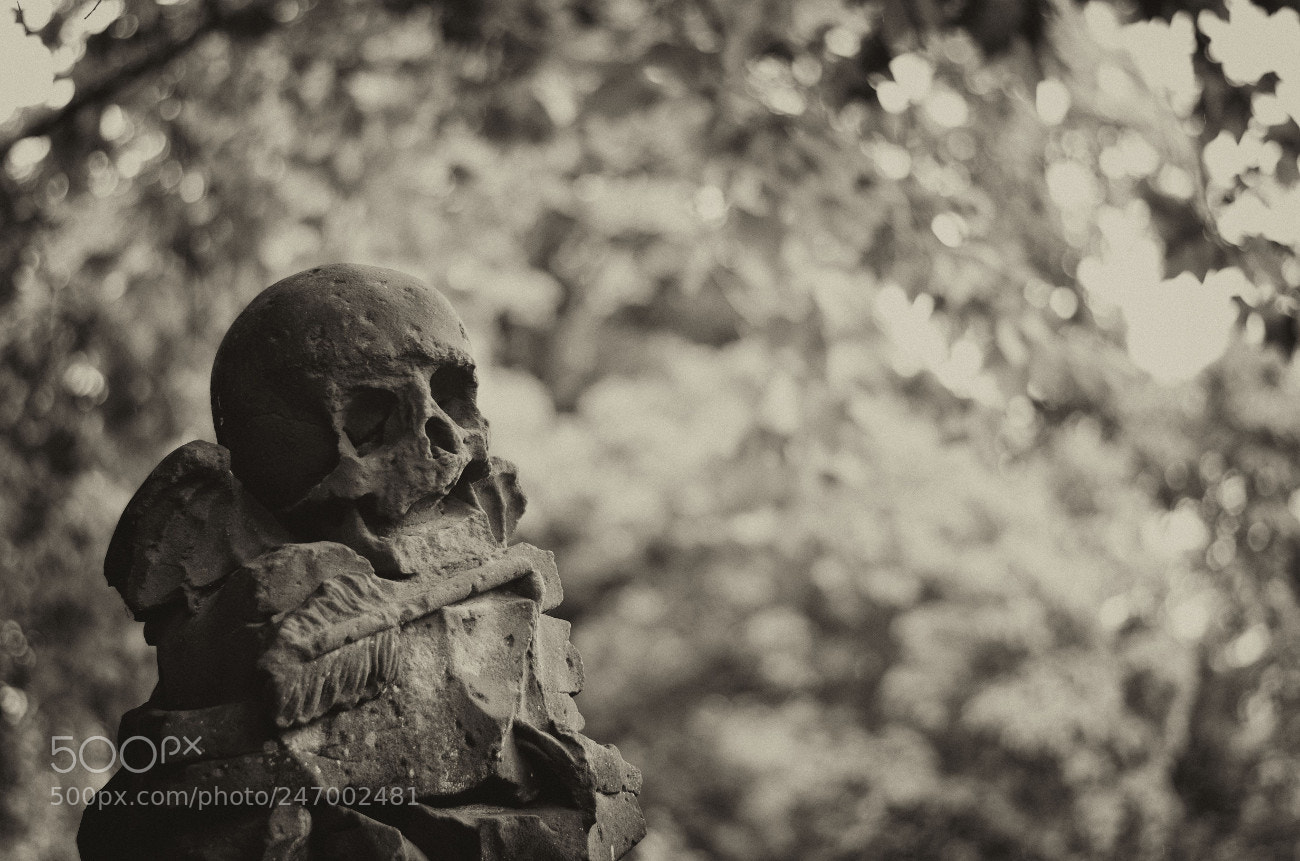 Nikon D5100 sample photo. Alterfriedhof vii photography