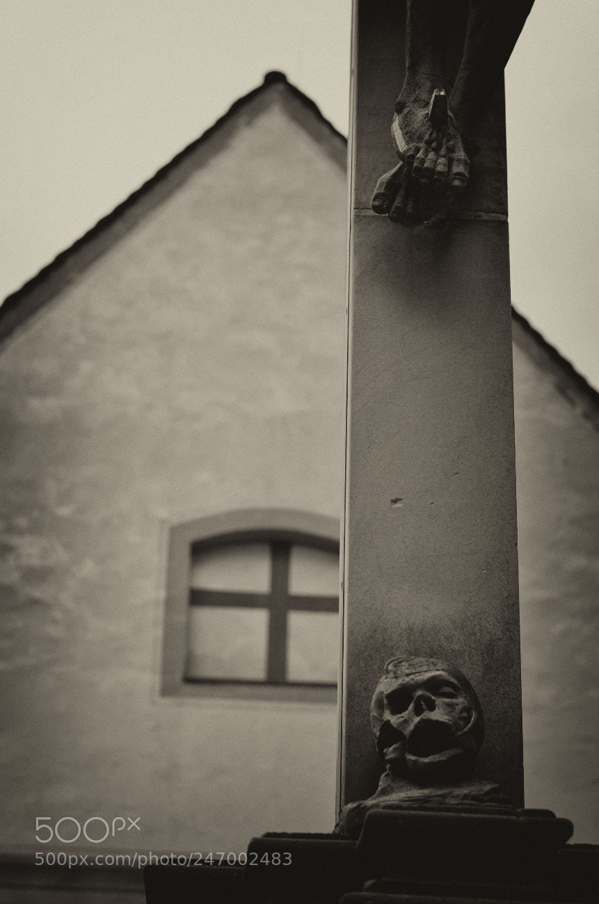 Nikon D5100 sample photo. Alterfriedhof xi photography