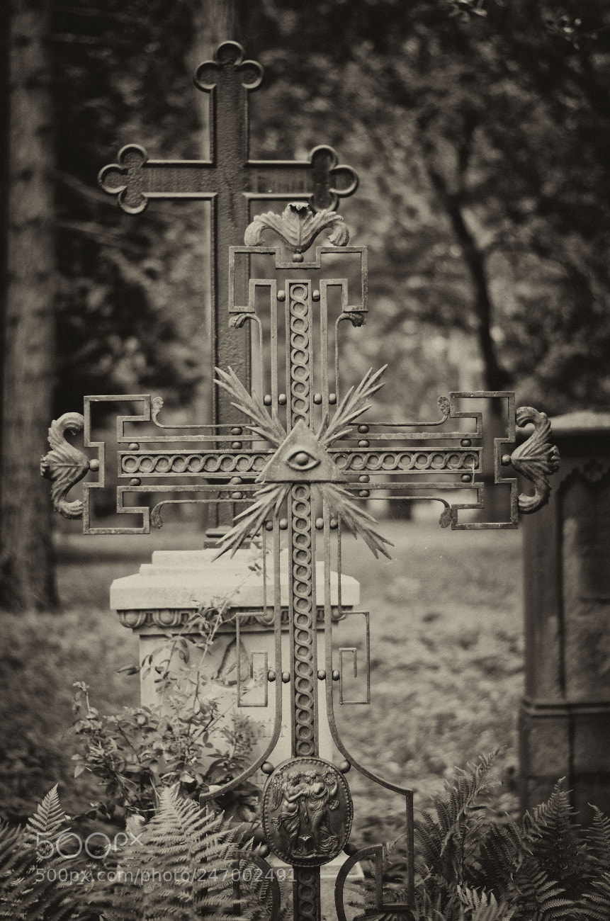 Nikon D5100 sample photo. Alterfriedhof xiv photography