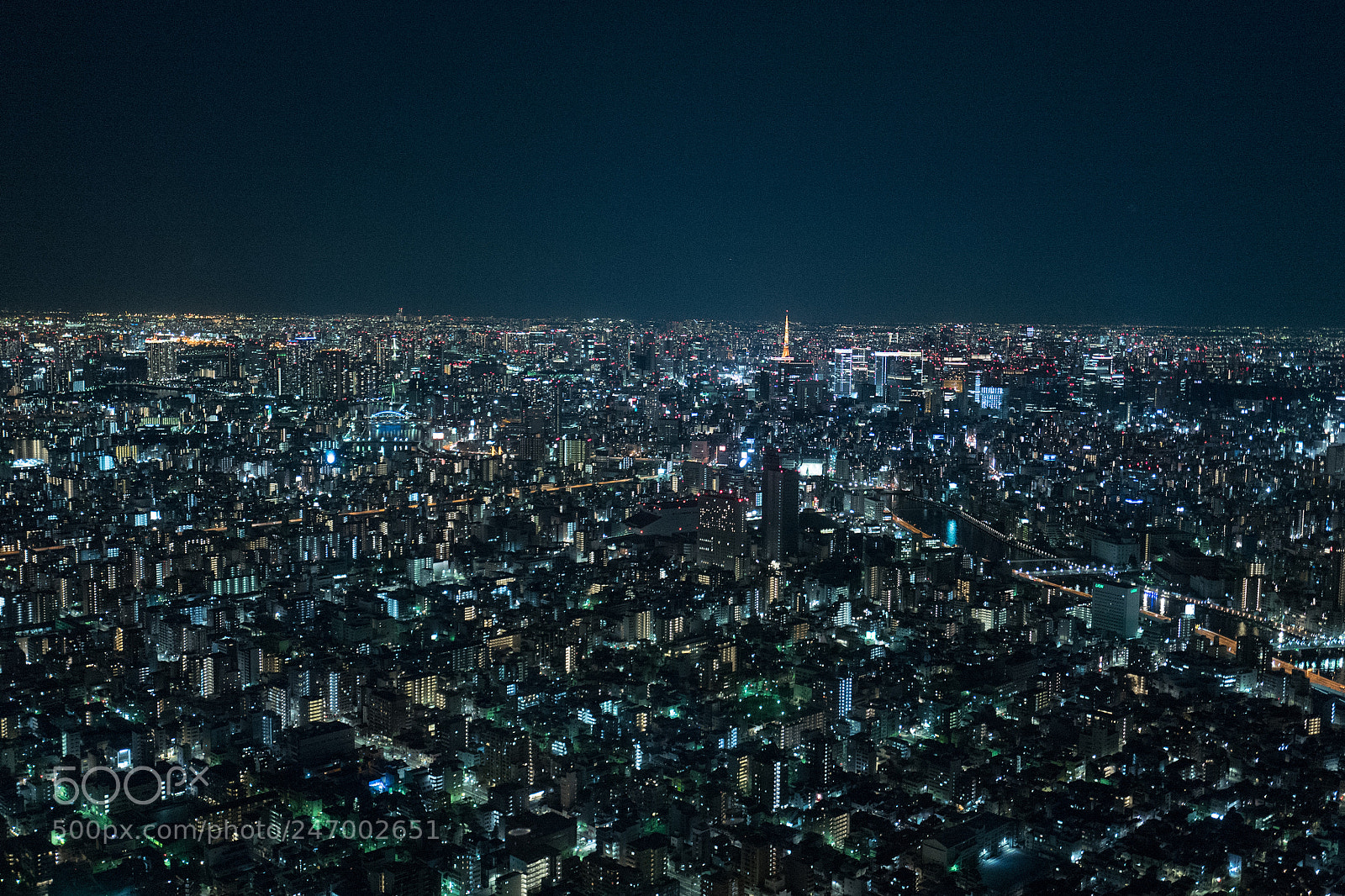 Leica Q (Typ 116) sample photo. Tokyo night view photography