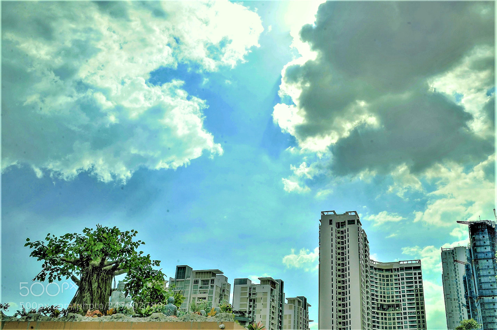 Nikon D700 sample photo. Under tree shadow photography