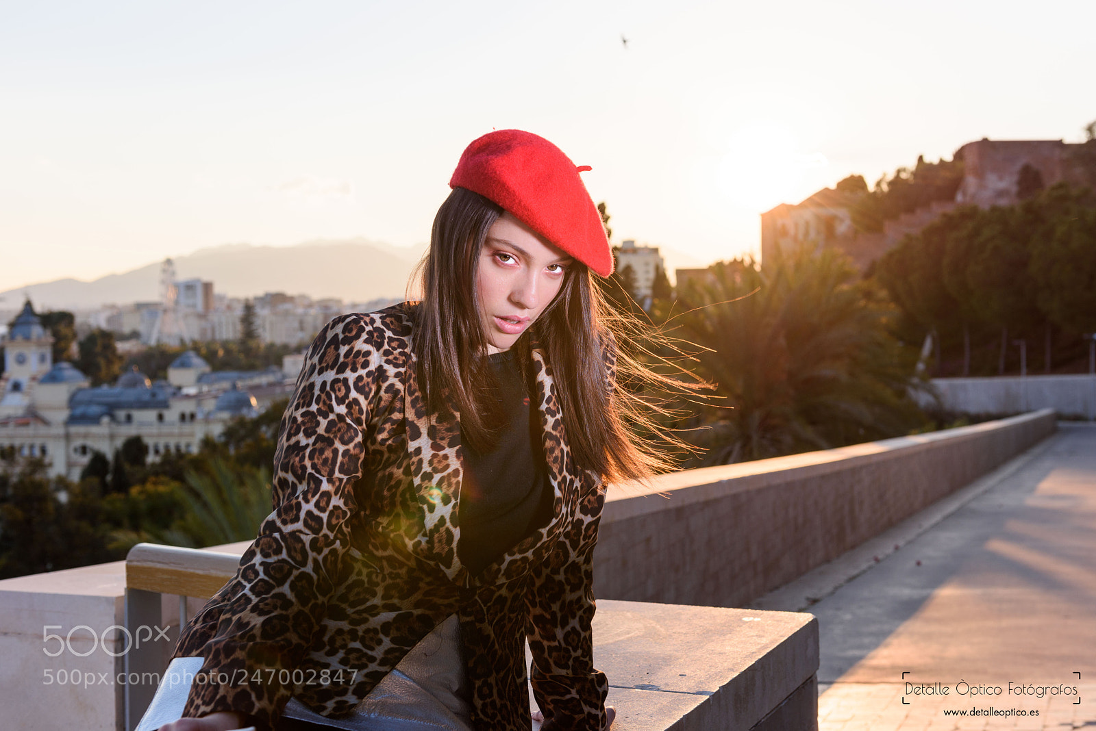 Nikon D810 sample photo. Book exterior photography