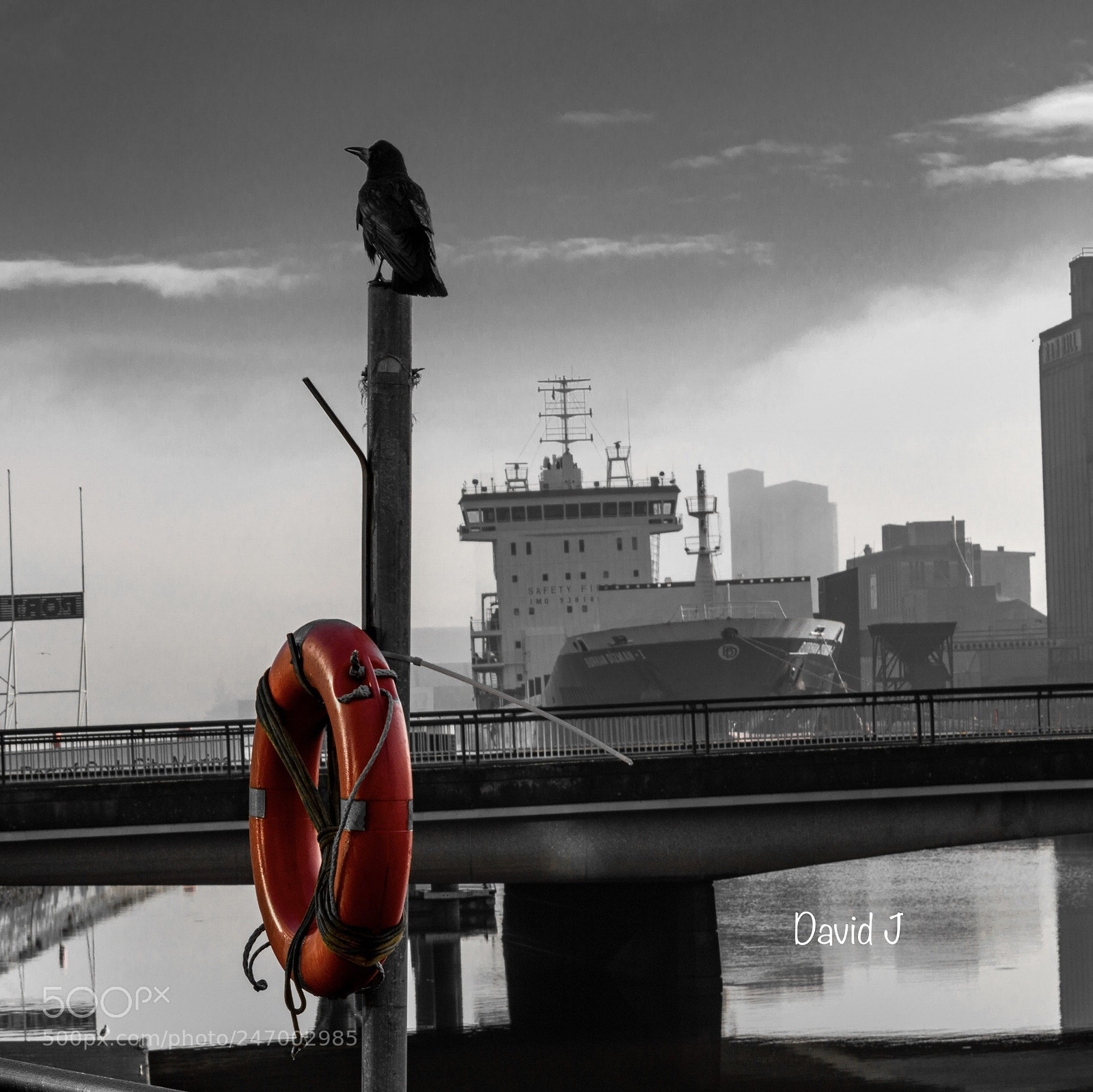 Nikon D3200 sample photo. Cork photography
