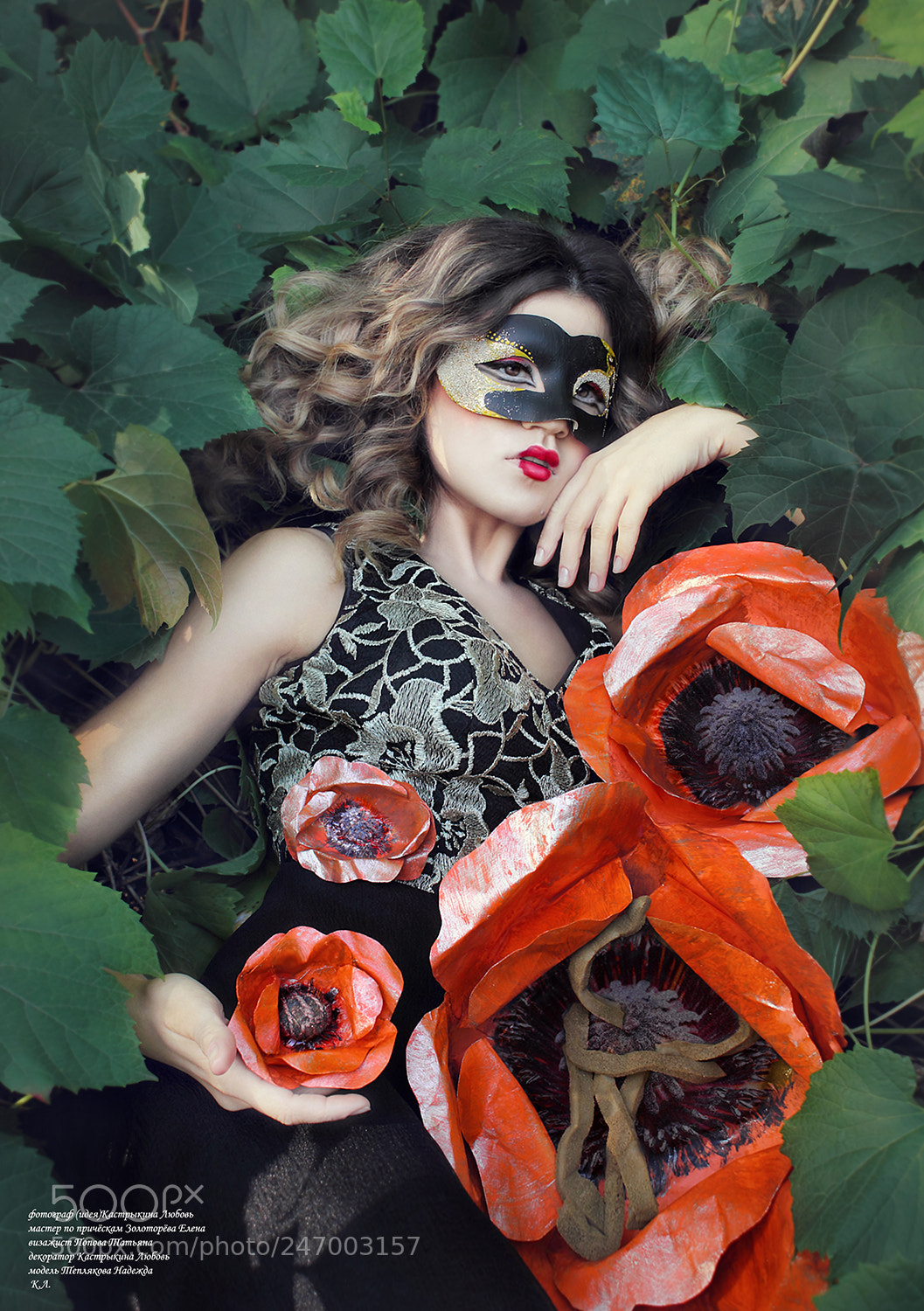 Canon EOS 550D (EOS Rebel T2i / EOS Kiss X4) sample photo. Queen of poppies photography