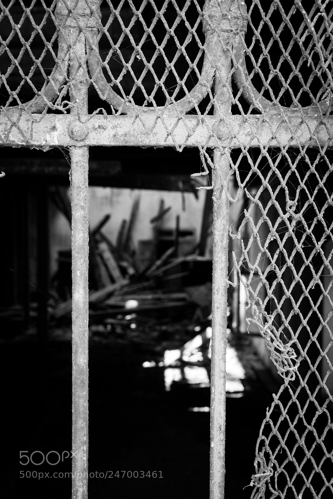 Canon EOS 550D (EOS Rebel T2i / EOS Kiss X4) sample photo. Oltre la rete photography