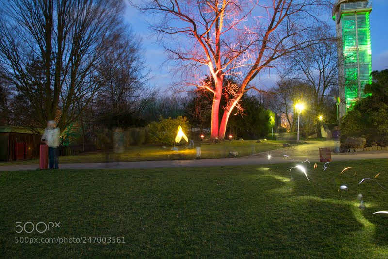 Canon EOS 60D sample photo. Parkleuchten photography