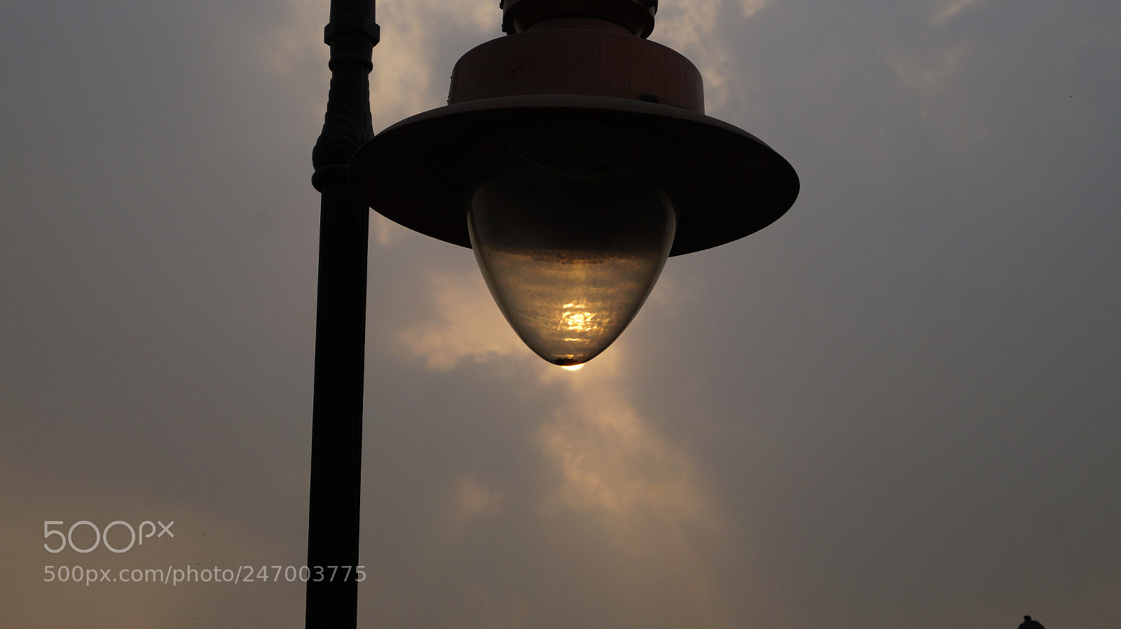Sony SLT-A58 sample photo. Artificial lamp with natural photography