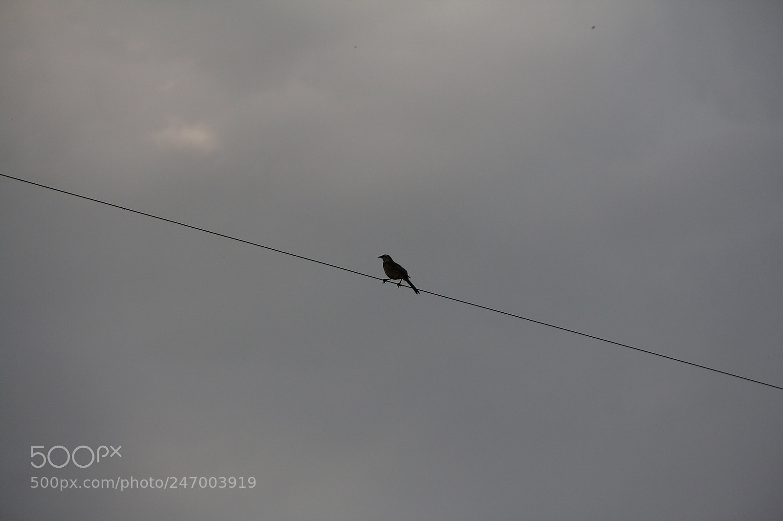 Canon EOS 60D sample photo. Minimalism photography