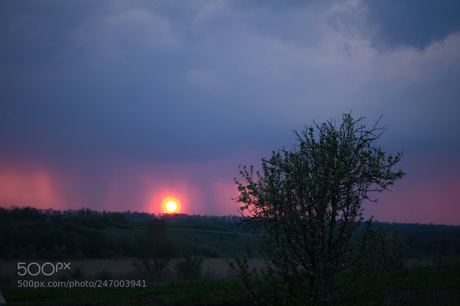 Canon EOS 600D (Rebel EOS T3i / EOS Kiss X5) sample photo. Sun through the rain. photography