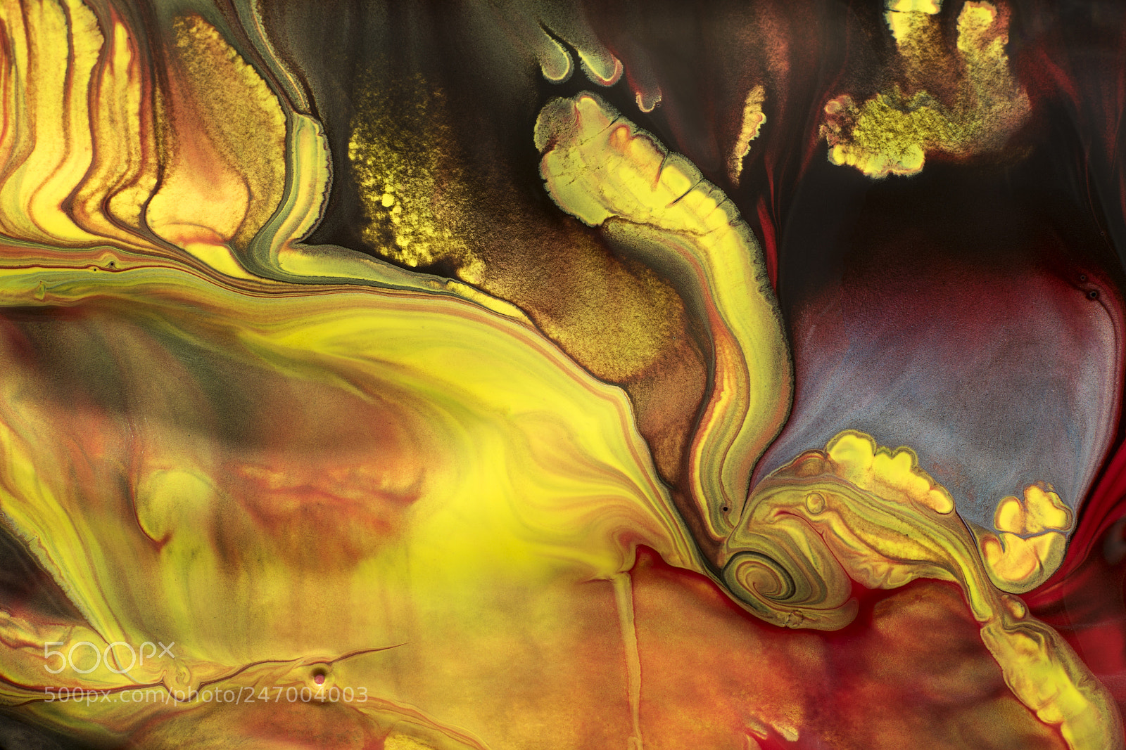 Sony a7R sample photo. Plate 6511 photography