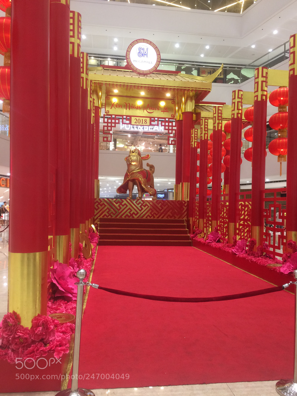 Apple iPhone 5s sample photo. Year of the dog 2018 photography