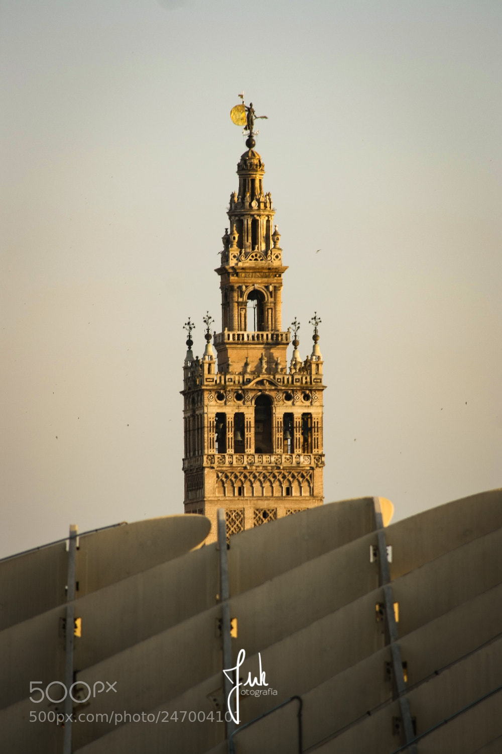 Canon EOS 1000D (EOS Digital Rebel XS / EOS Kiss F) sample photo. Desde las setas photography