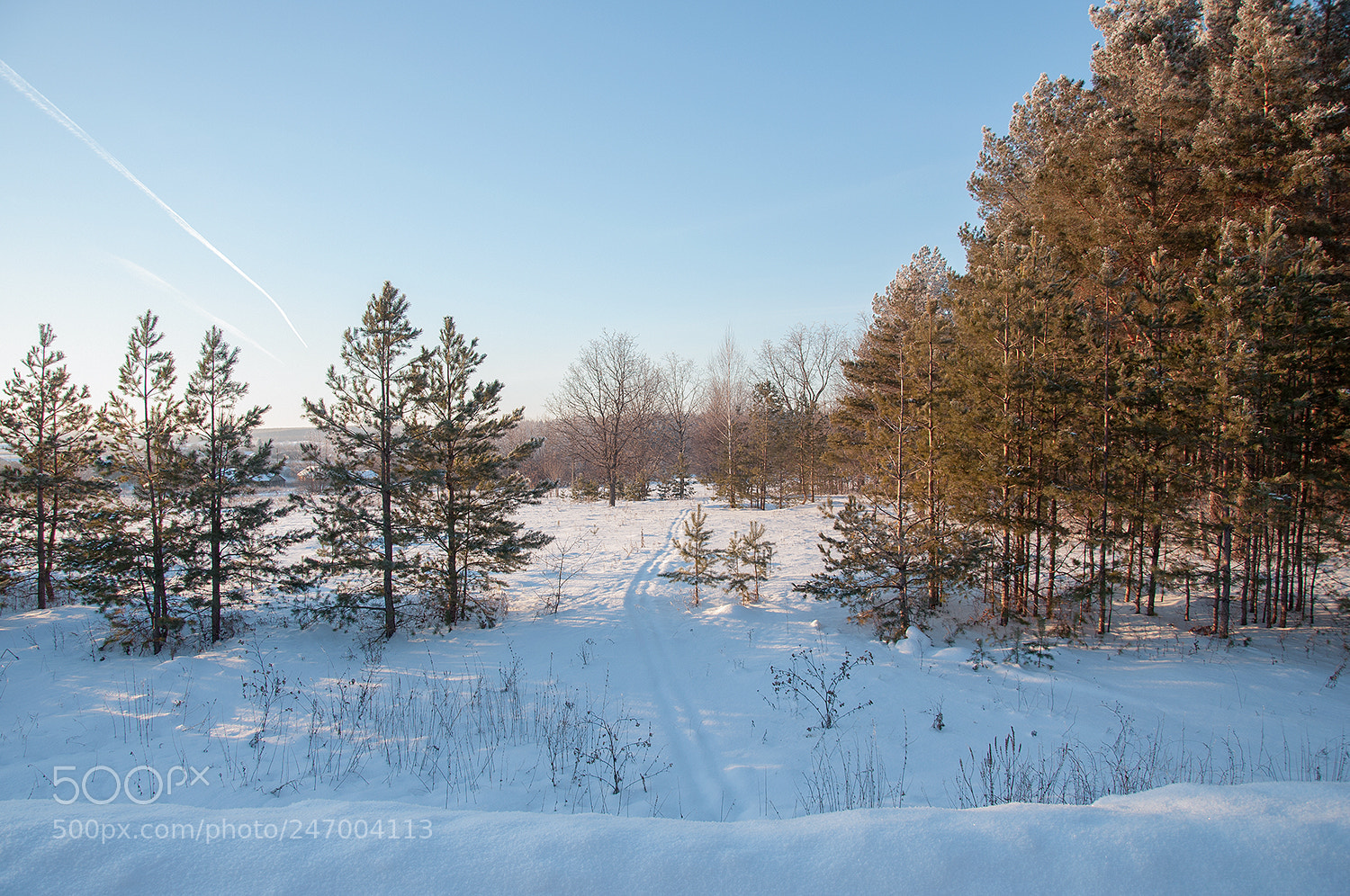 Nikon D90 sample photo. Зимний день ласкается в солнечных лучах... photography