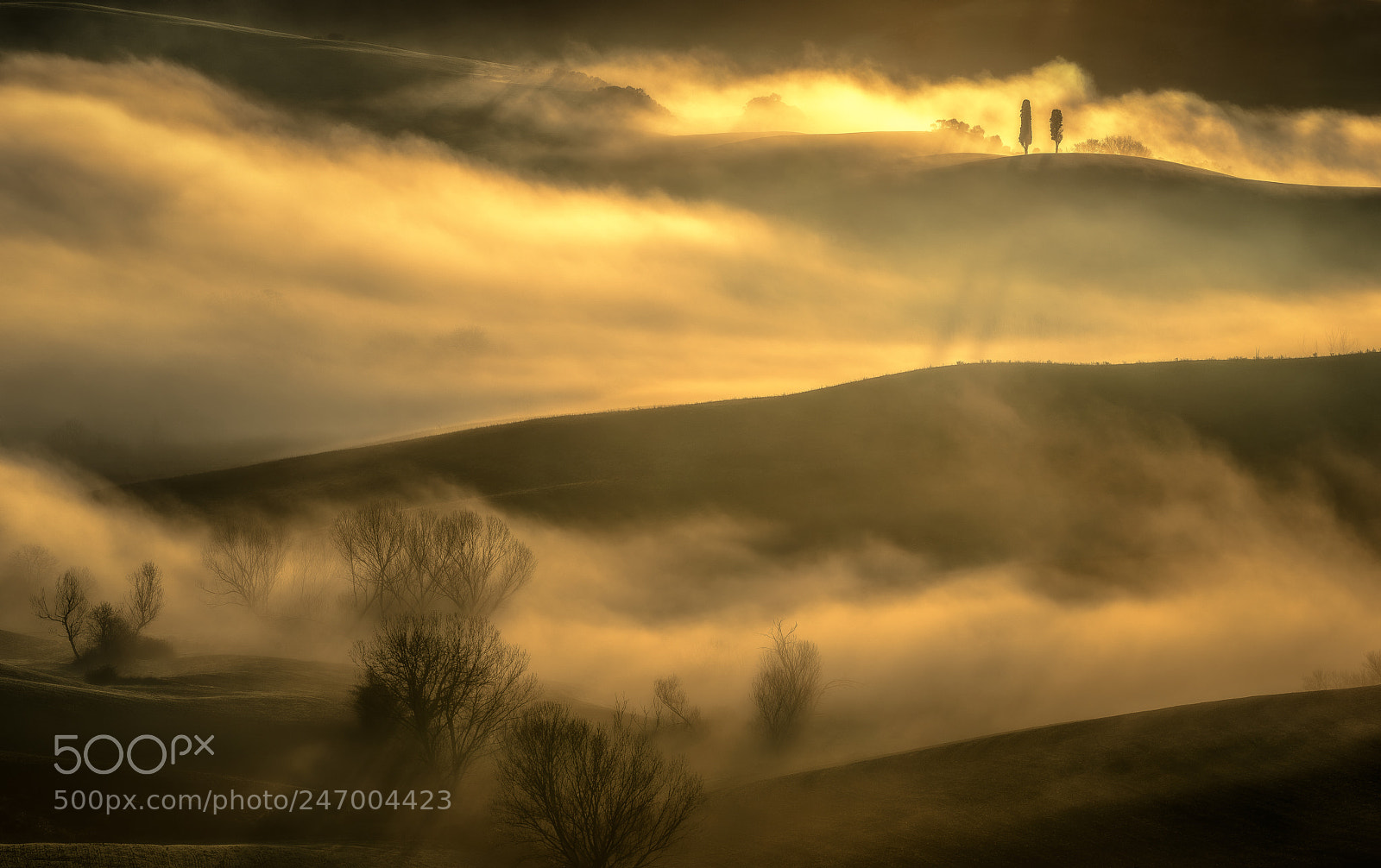 Nikon D810 sample photo. Sunrise focal point photography