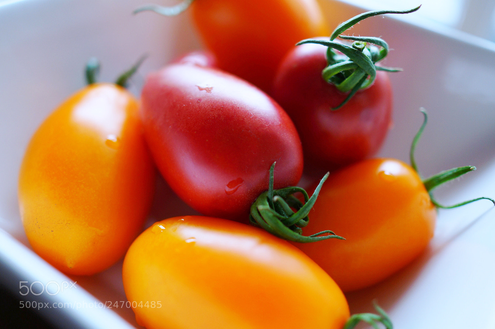 Sony Alpha NEX-5R sample photo. Tomatoes photography