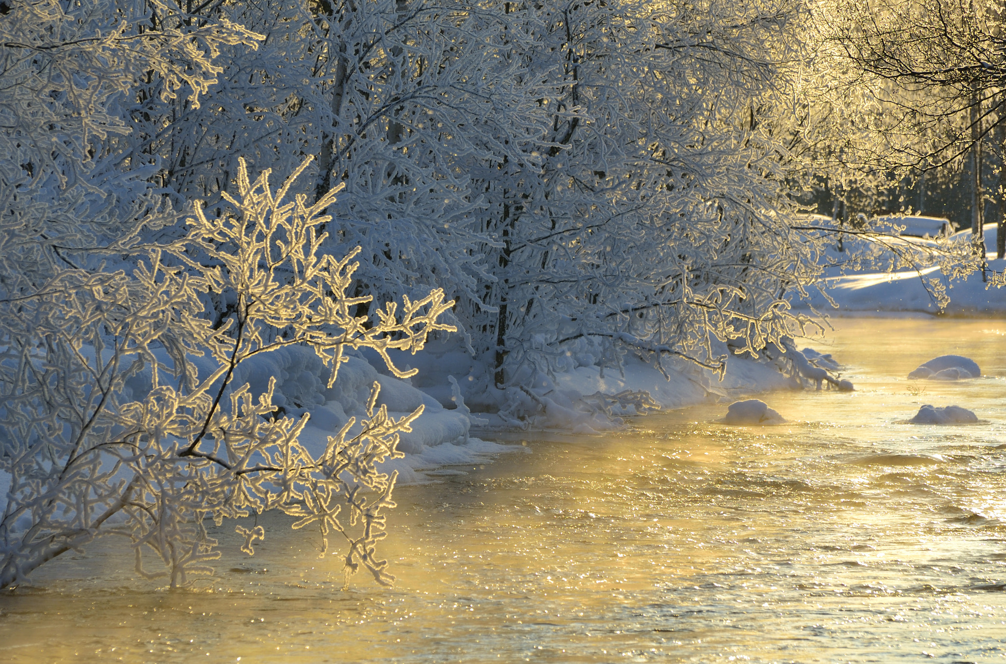 Nikon D2X sample photo. Winter river photography