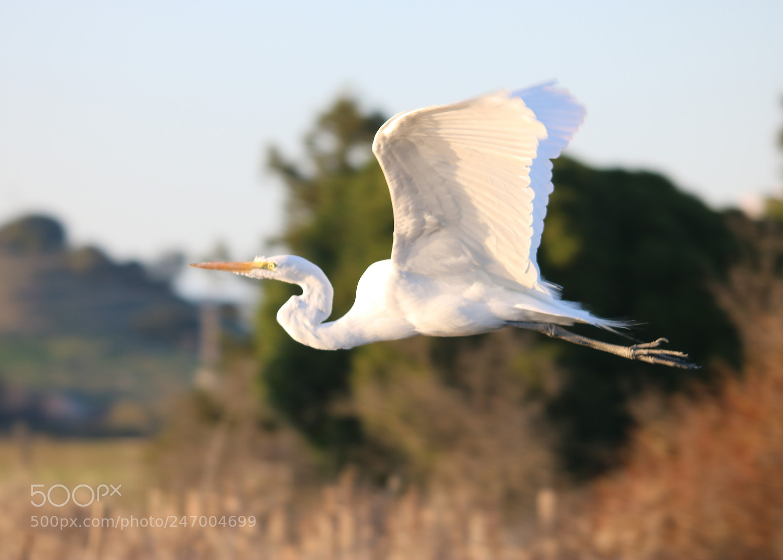 Canon EOS 750D (EOS Rebel T6i / EOS Kiss X8i) sample photo. Fly by photography