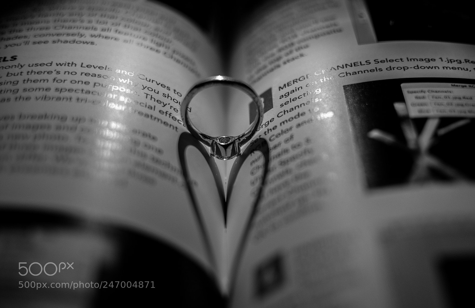 Nikon D7200 sample photo. Pic photography