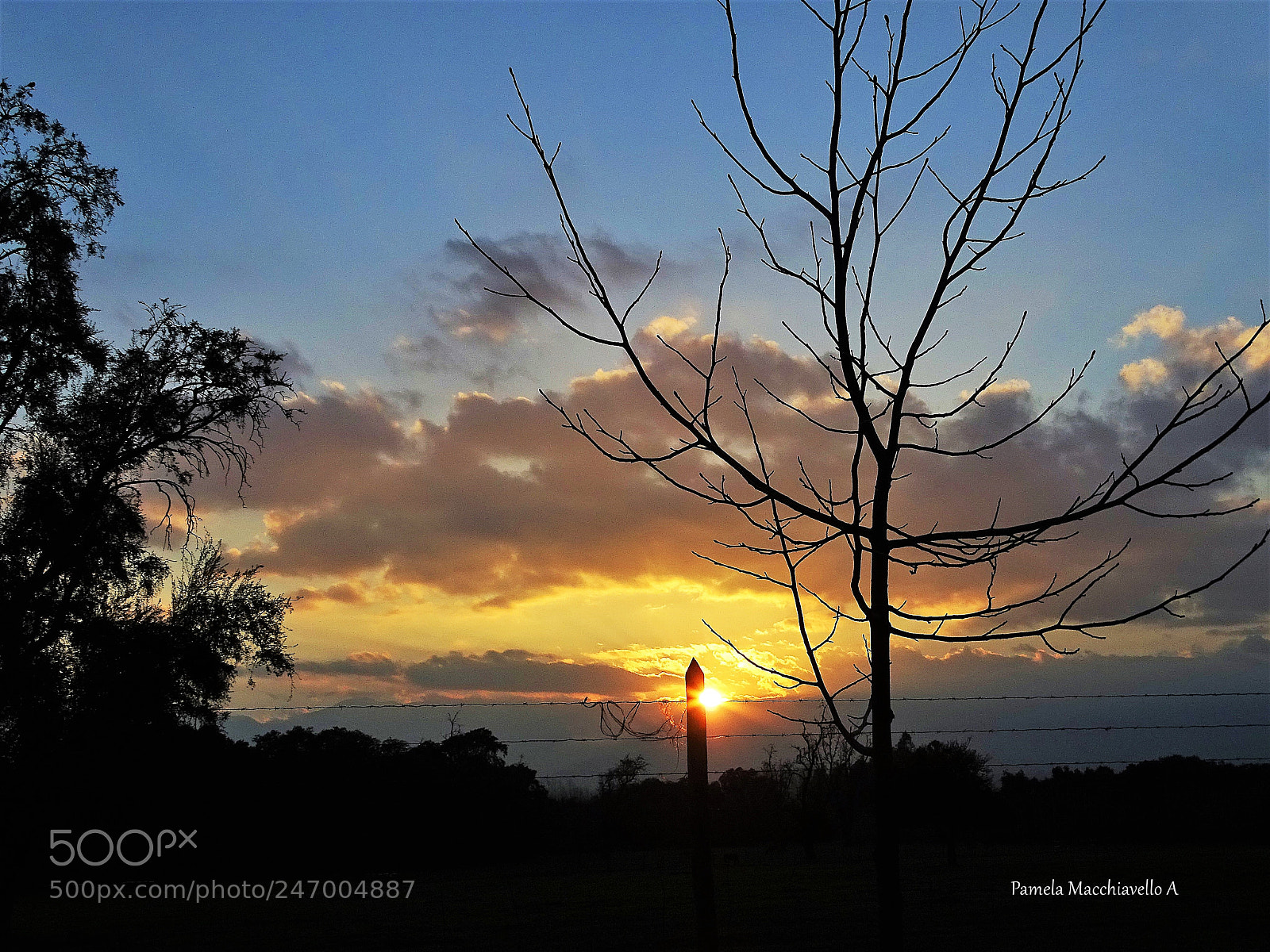 Sony Cyber-shot DSC-HX400V sample photo. Sunset photography