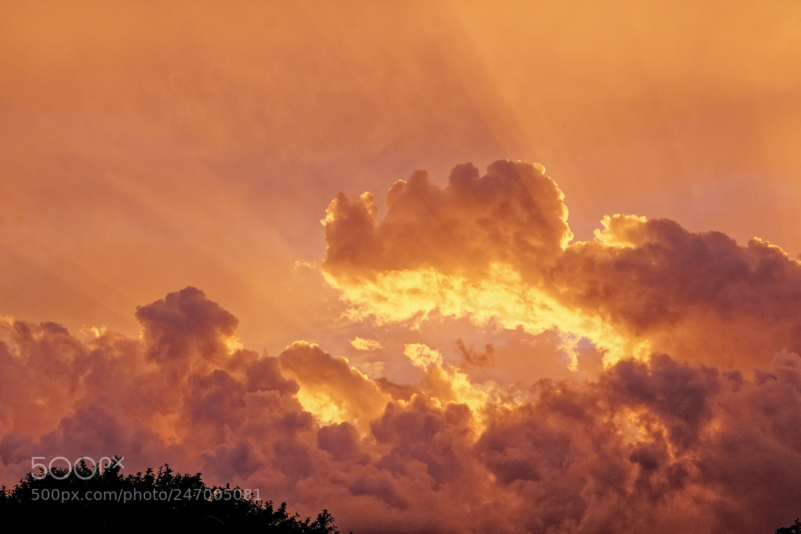 Sony a7 sample photo. Royaume des cieux photography