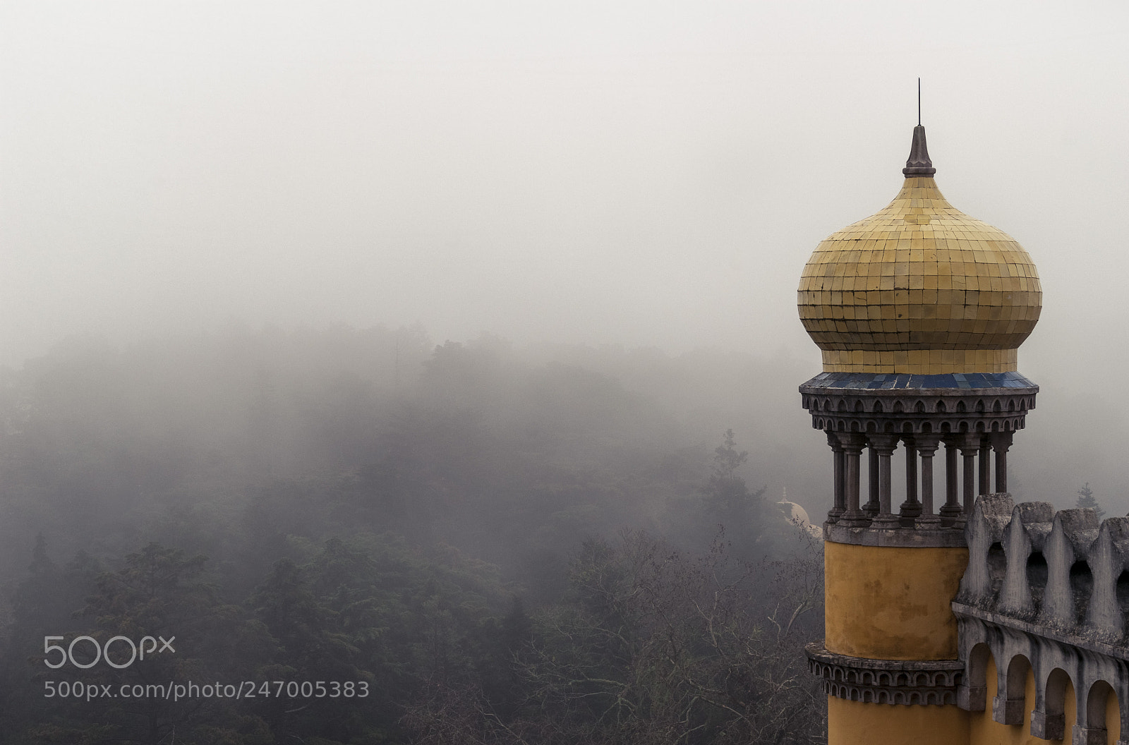 Sony Alpha DSLR-A380 sample photo. Niebla photography