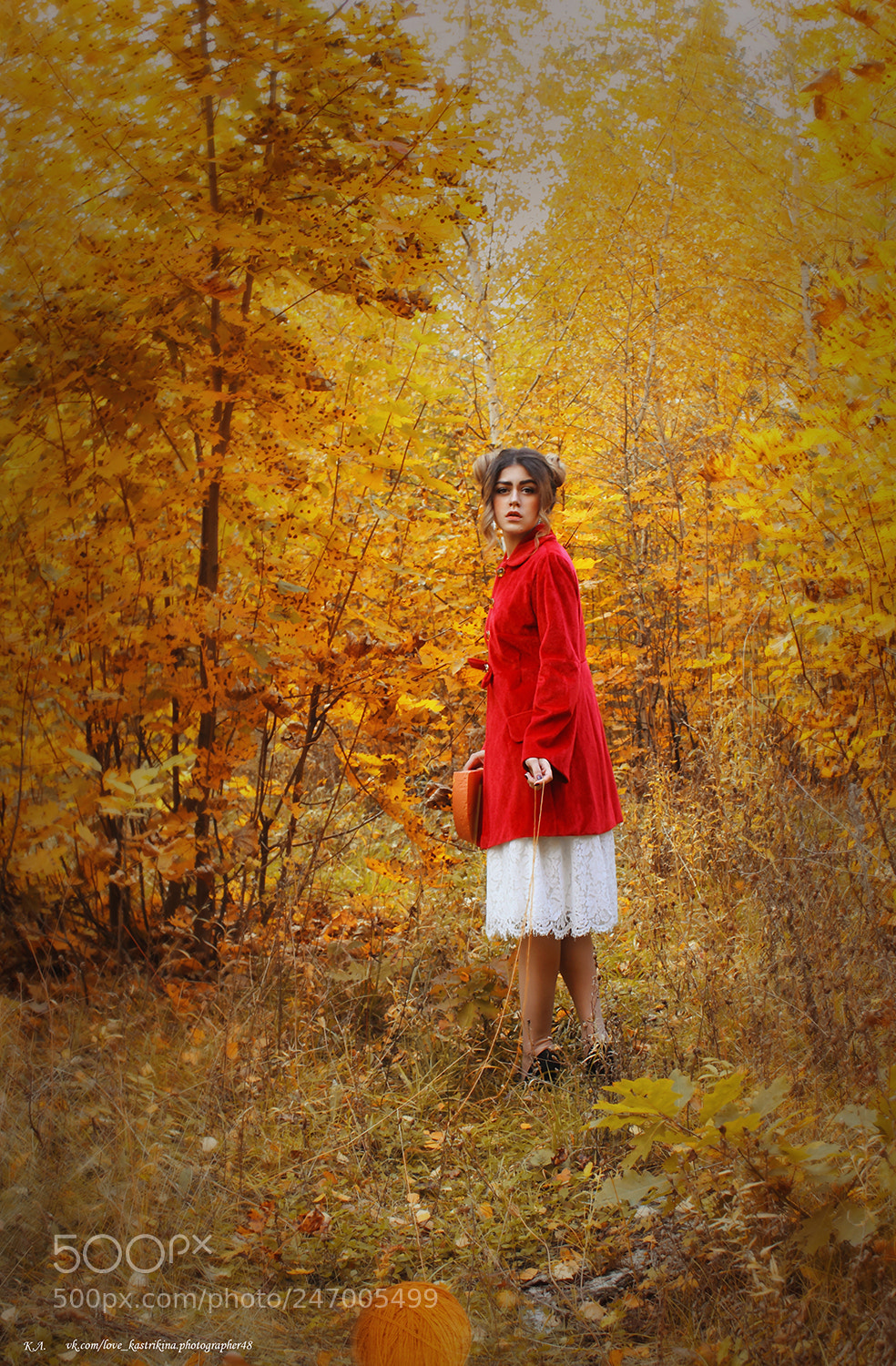 Canon EOS 550D (EOS Rebel T2i / EOS Kiss X4) sample photo. The project "autumn" photography