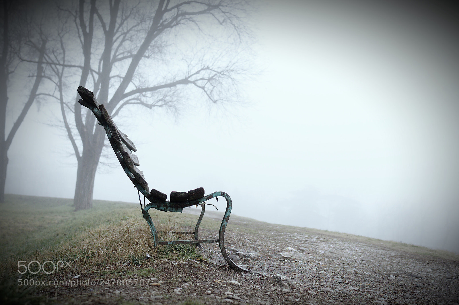 Sony Alpha NEX-5R sample photo. Fog photography