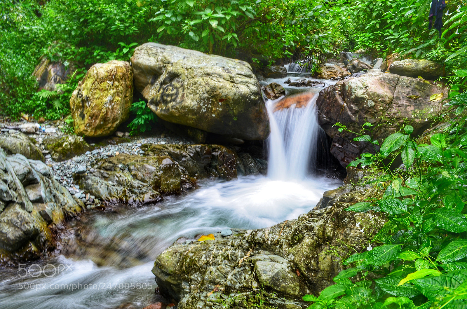 Nikon D5100 sample photo. Stream at apgachhi photography