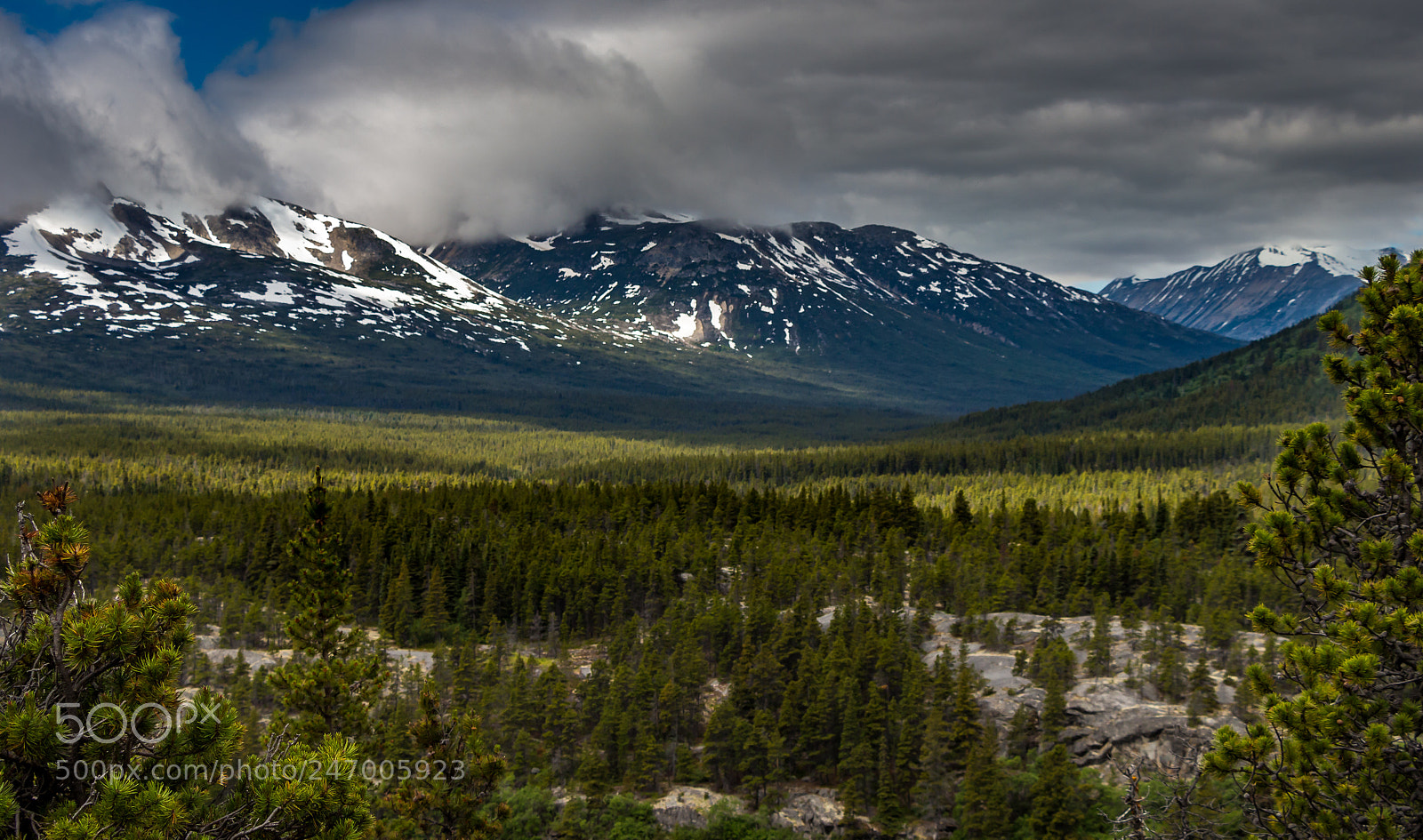 Canon EOS 700D (EOS Rebel T5i / EOS Kiss X7i) sample photo. Yukon wilderness photography
