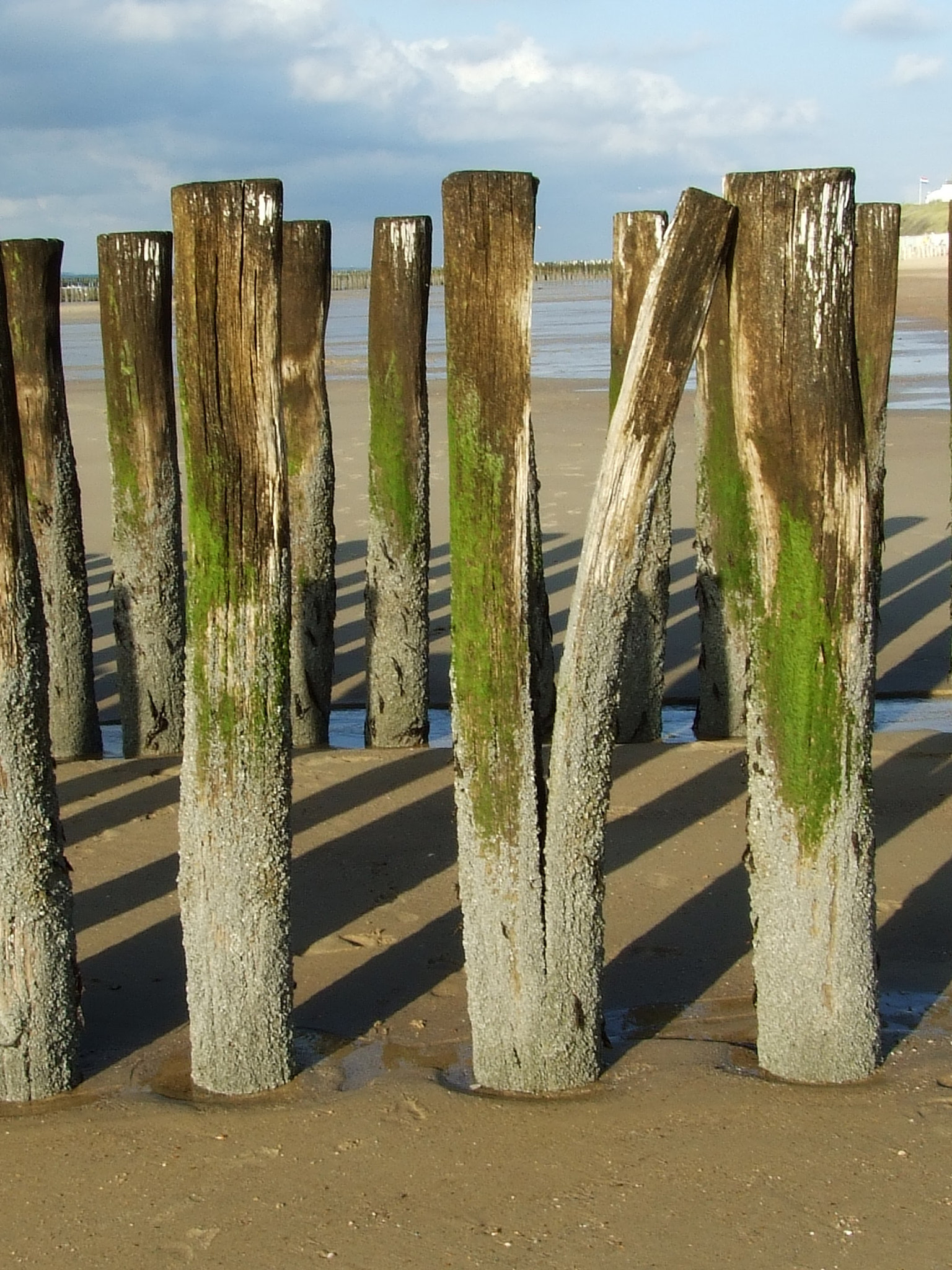 Fujifilm FinePix S6500fd sample photo. Domburg at the sea photography