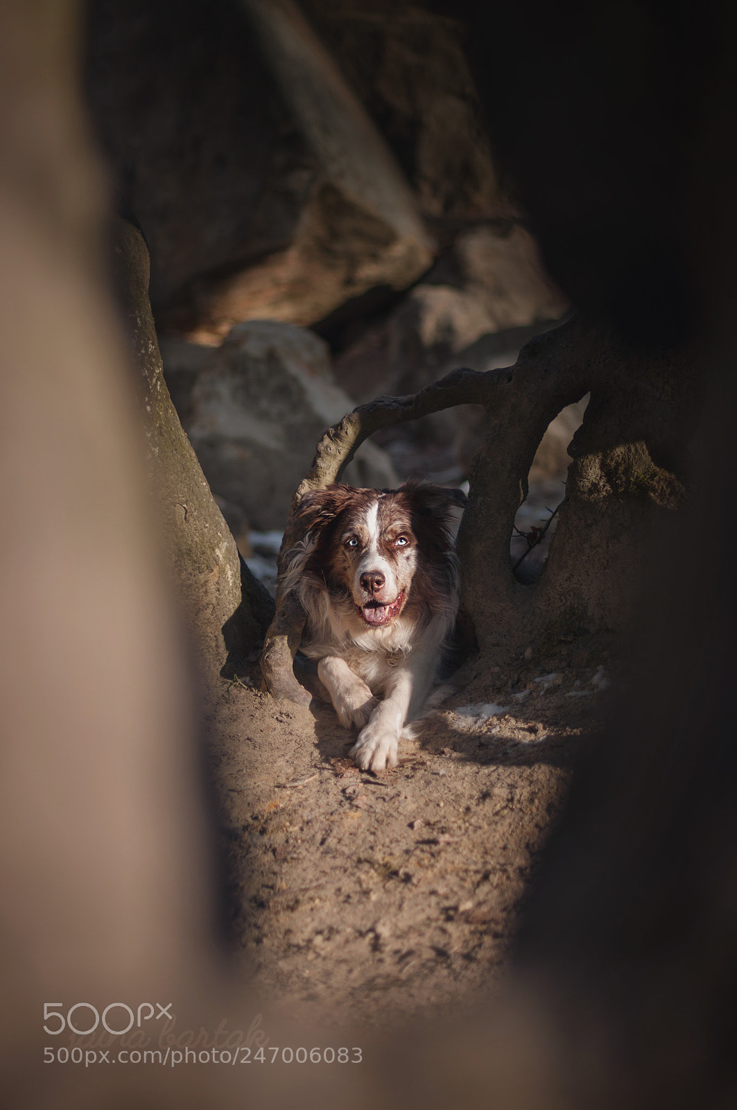 Nikon D90 sample photo. Desert hideout photography