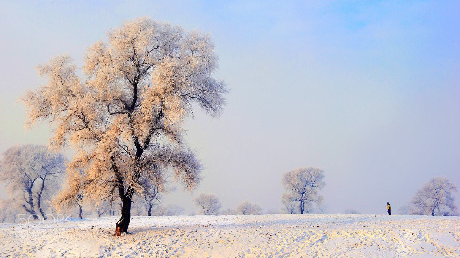 Nikon D800E sample photo. 北国风光 photography