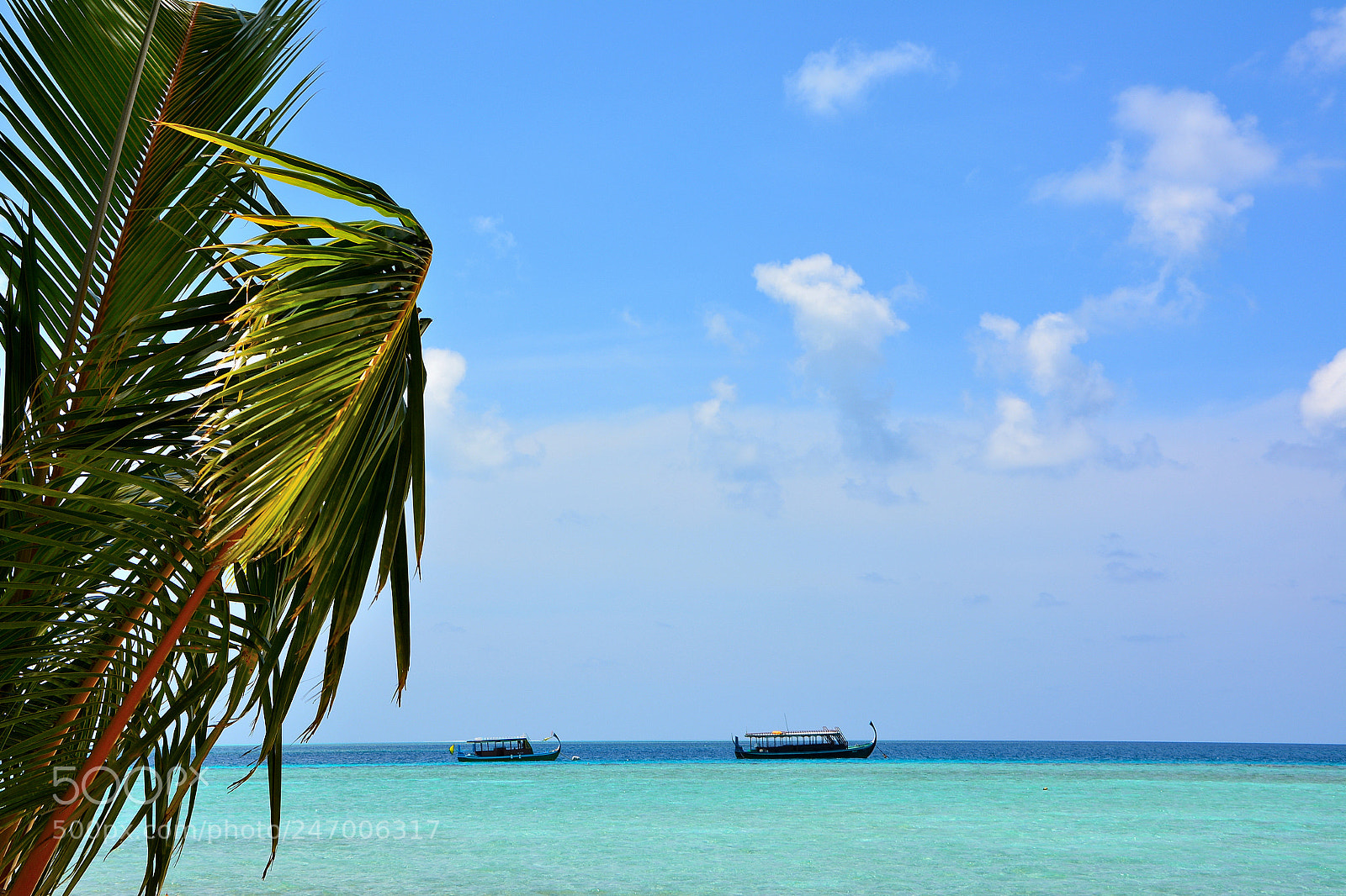 Nikon D5200 sample photo. Dhoni photography