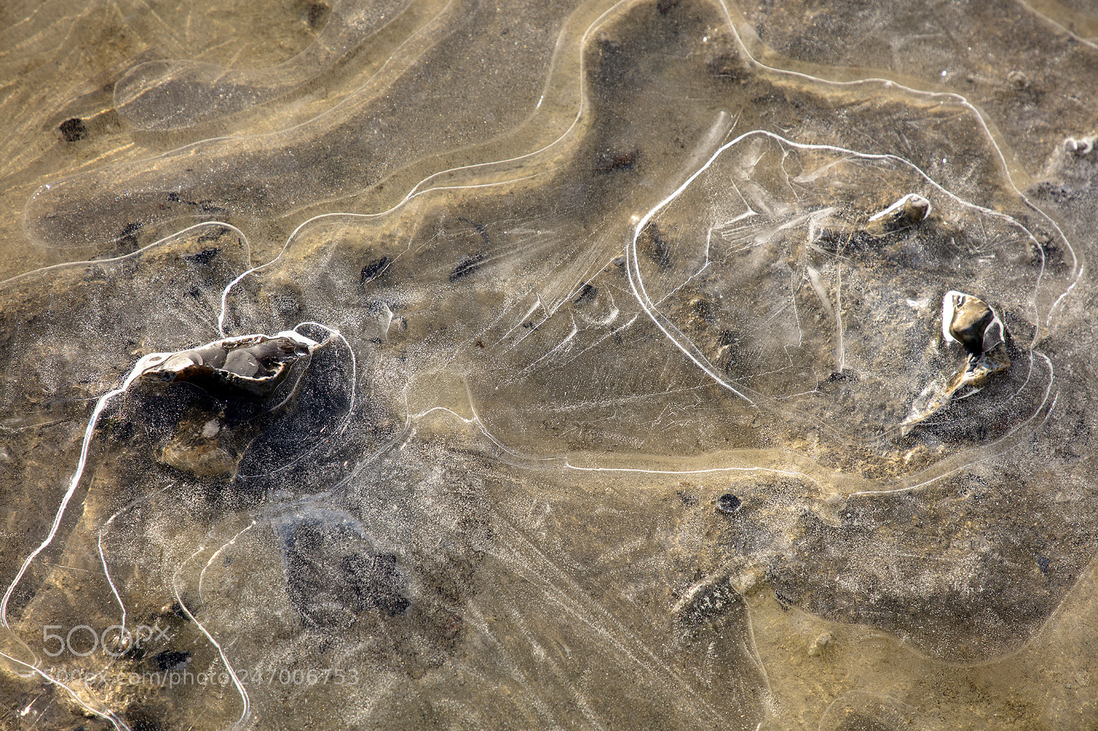 Canon EOS 5DS sample photo. 015.jpg photography