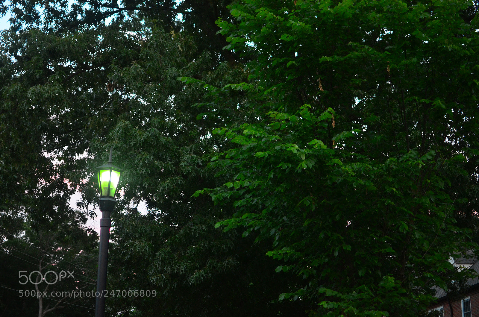Nikon D5100 + Nikon AF-S DX Nikkor 35mm F1.8G sample photo. Green light everywhere photography