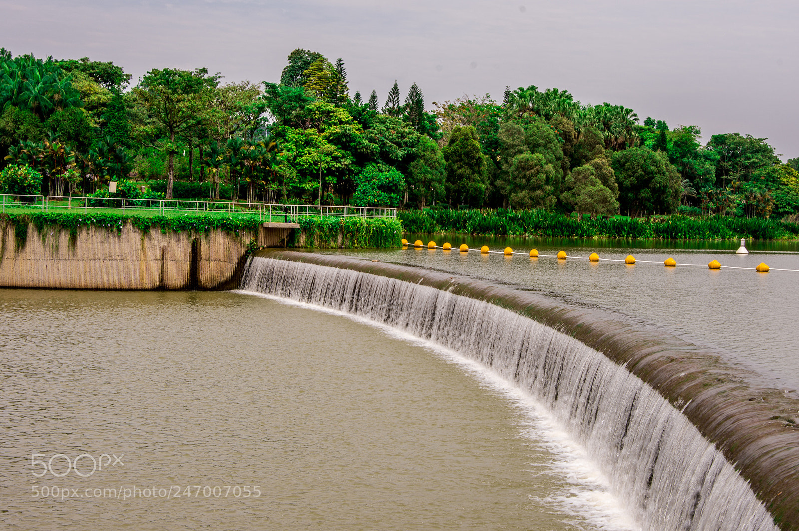 Nikon D7200 sample photo. Pic photography
