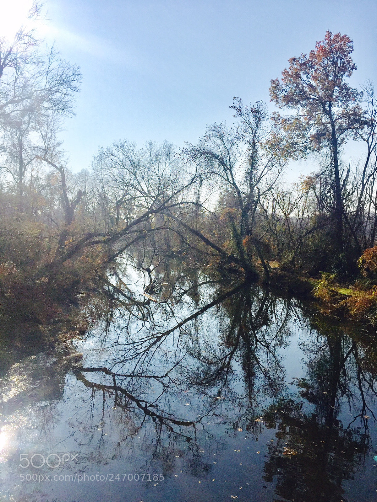 Apple iPhone 6 Plus sample photo. All the mirrors that photography