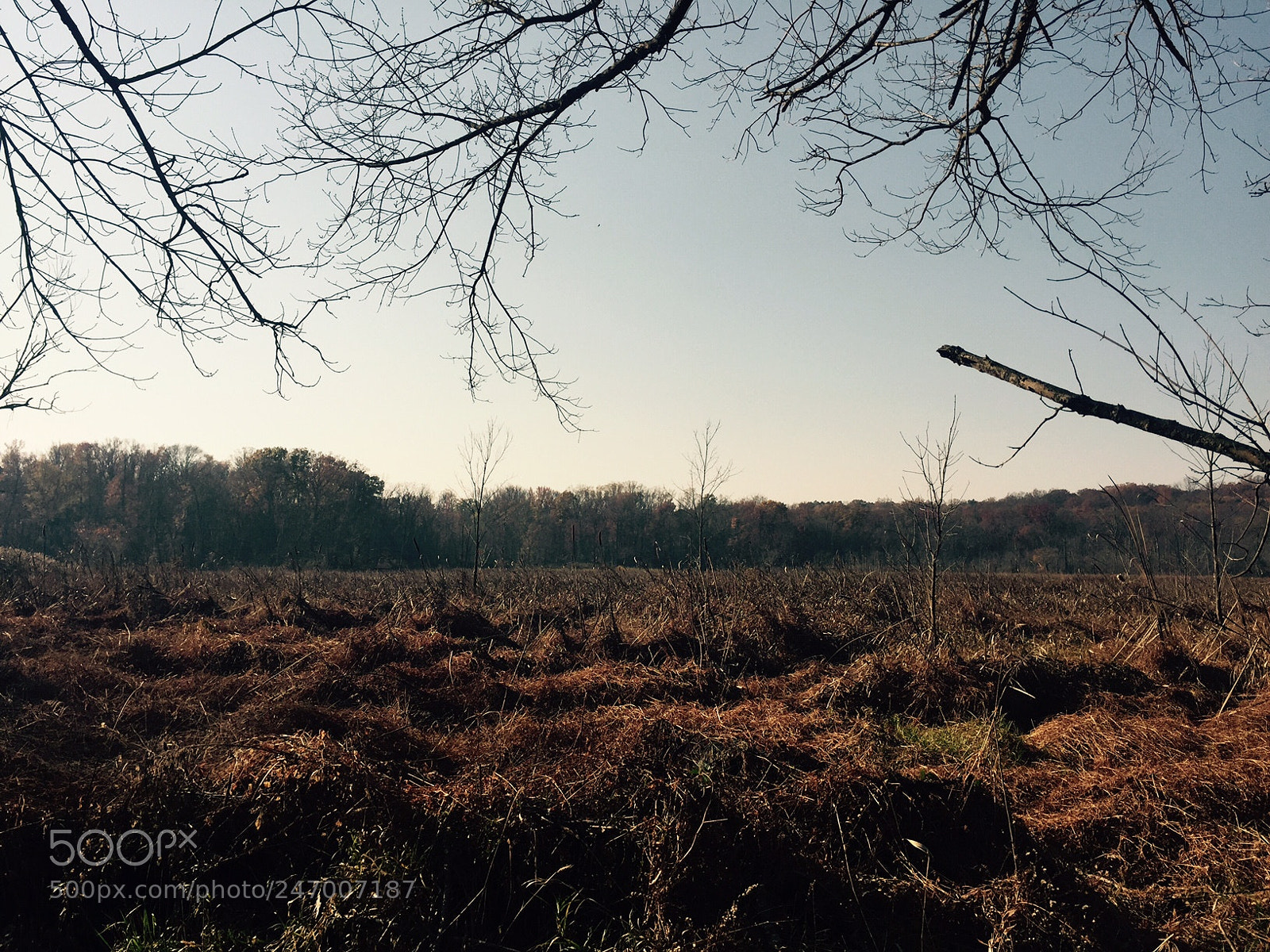 Apple iPhone 6 Plus sample photo. Held in contempt photography
