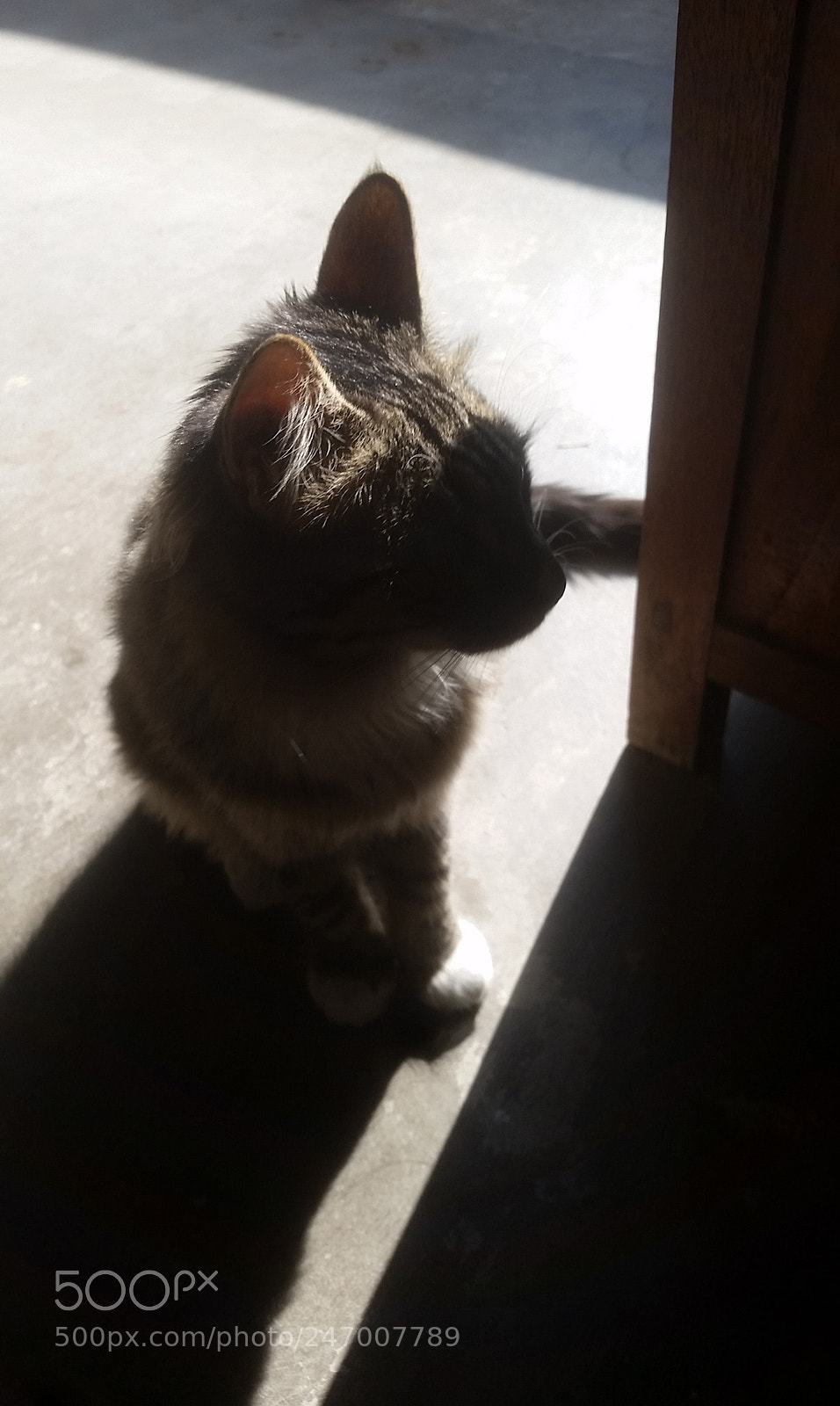 Samsung Galaxy S5 sample photo. Pretend to be a photography
