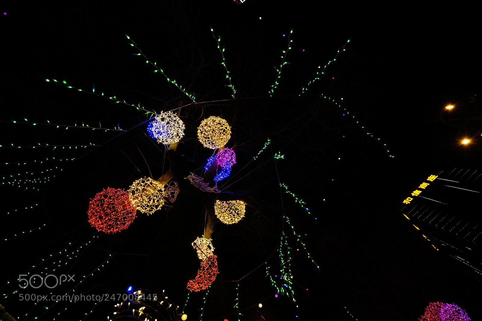Sony a7 II sample photo. 彩灯闪烁 photography