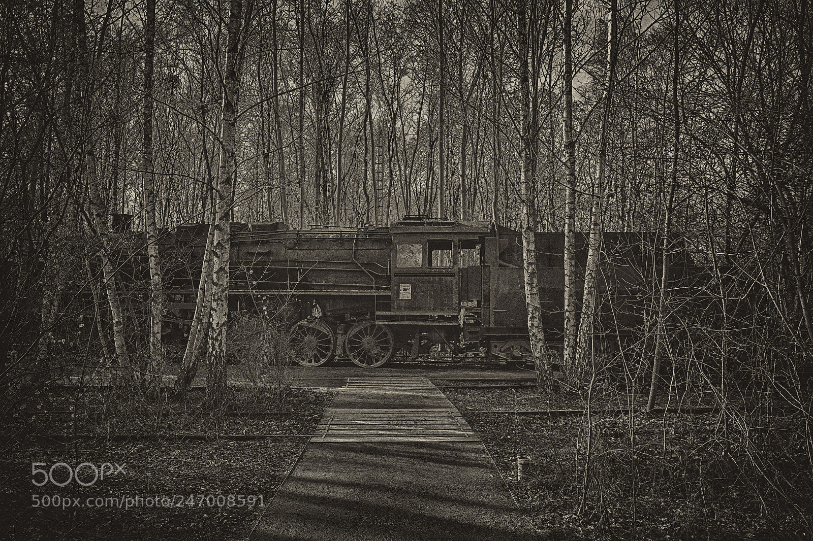 Nikon D7200 sample photo. Lost train photography