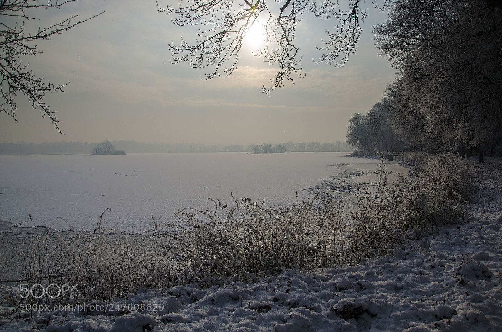 Nikon D5100 sample photo. 299 photography