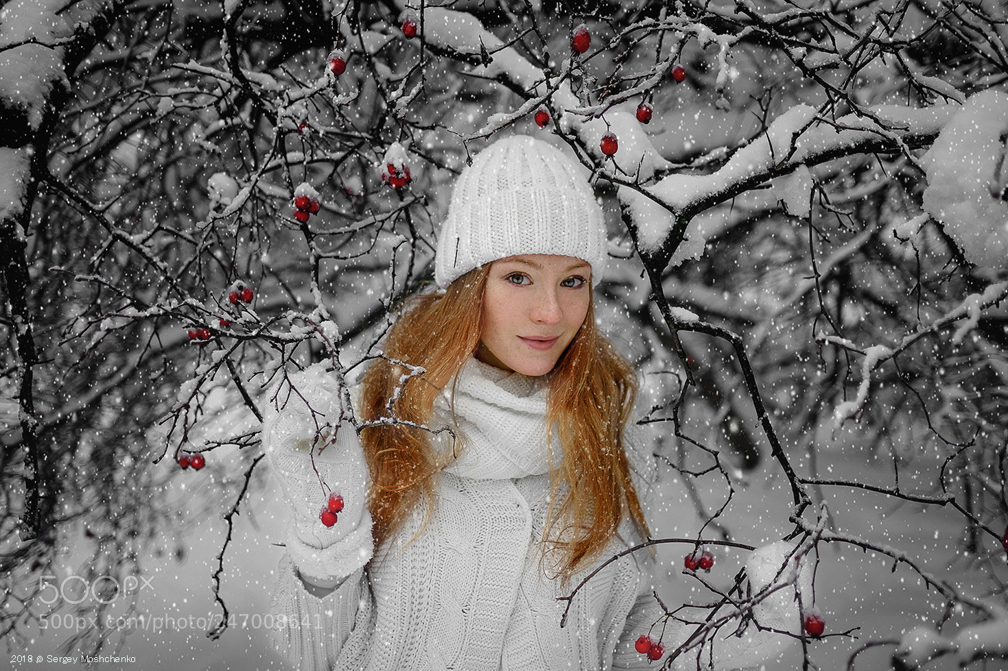 Fujifilm X-T1 sample photo. Зимняя сказка photography