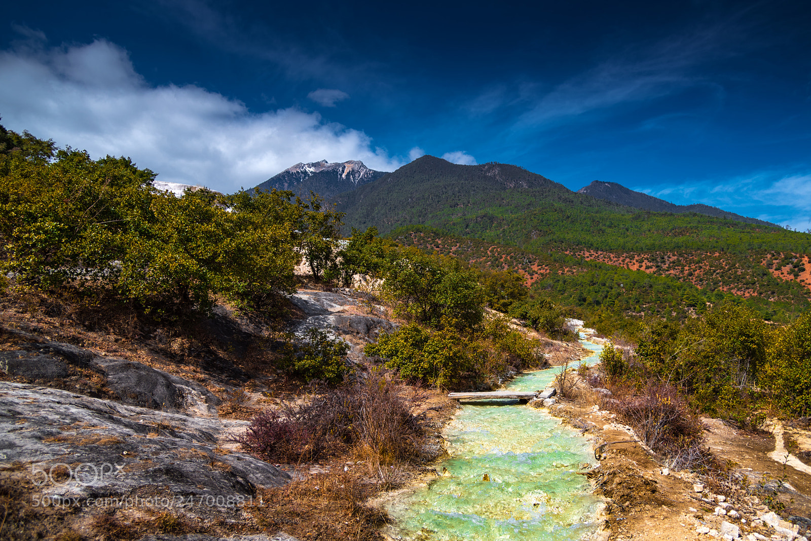 Nikon D850 sample photo. ิbaisuitai lijiang photography
